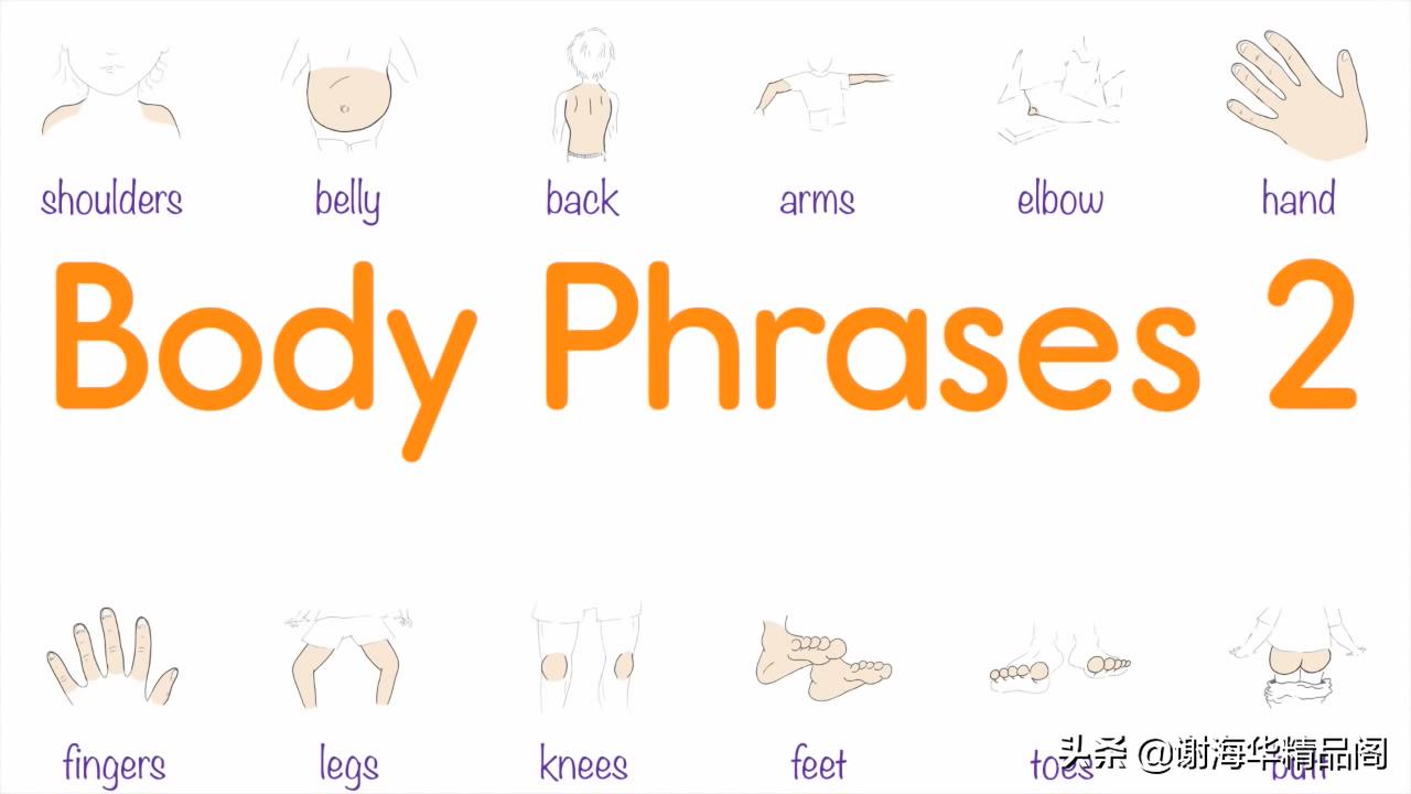 寓教于乐教学3-4岁小孩,寓教于乐教学视频