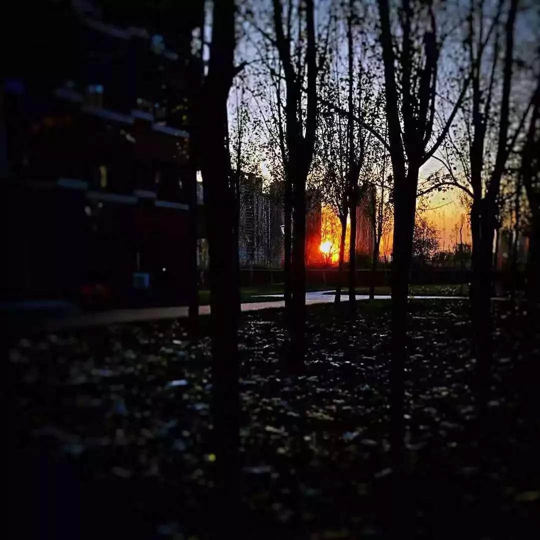 辽宁中医药大学杏林学院独立学院,辽宁中医药大学三个校区