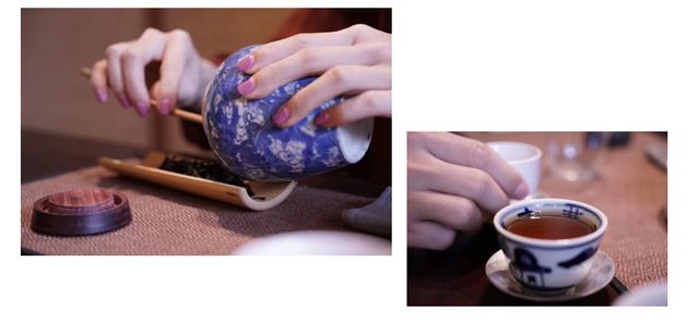 寻茶百树,六堡茶千种茶中必有适合你的茶