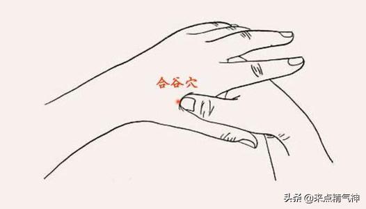 常用针灸52腧穴