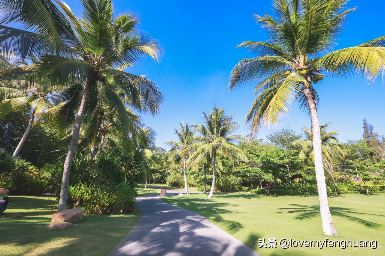 玩转三亚四天三夜旅行攻略,漫游三亚在初夏的时光里邂逅美好