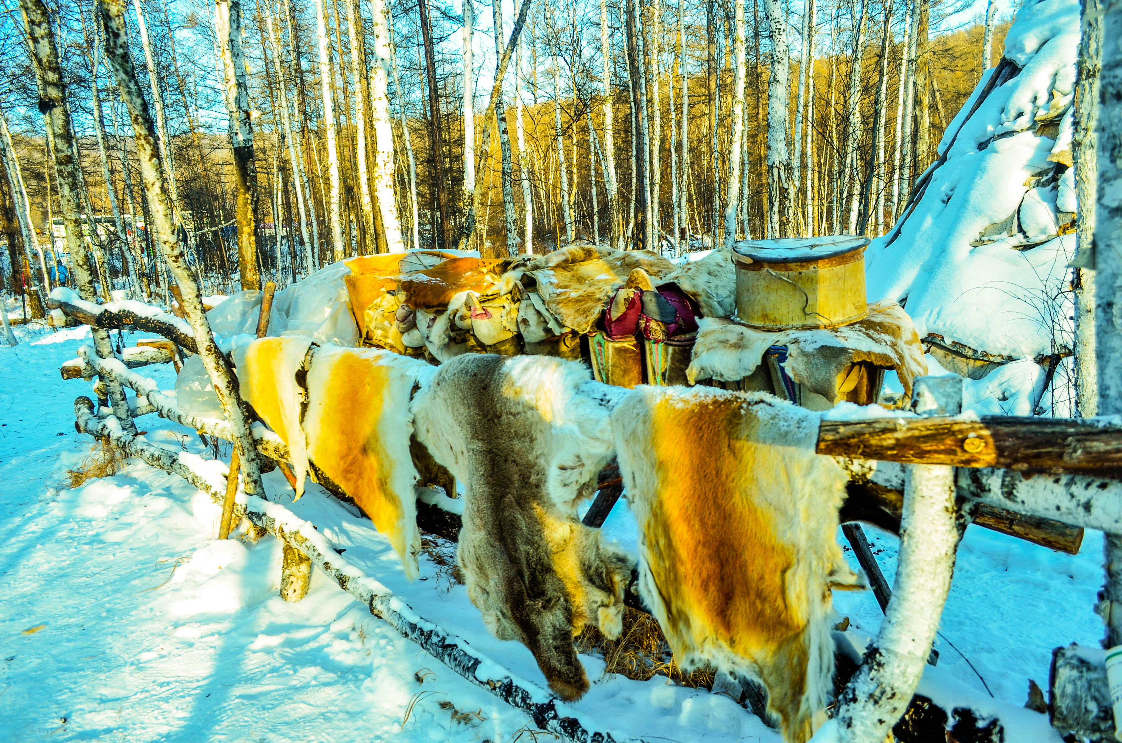 探访最冷的地方,中国最冷的地方零下80度去旅行