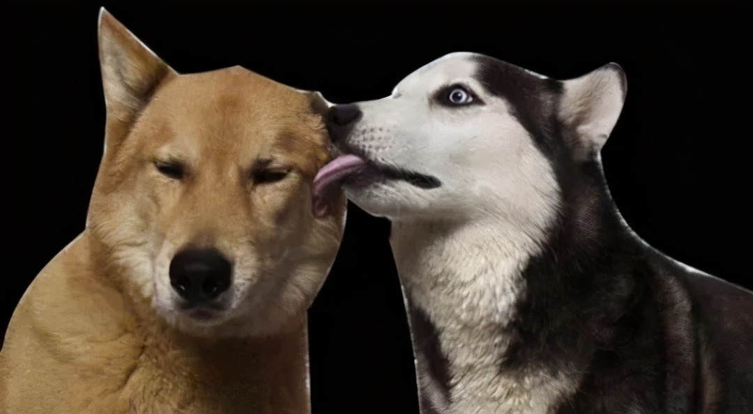 送男生gucci项链,男生送女生gucci项链