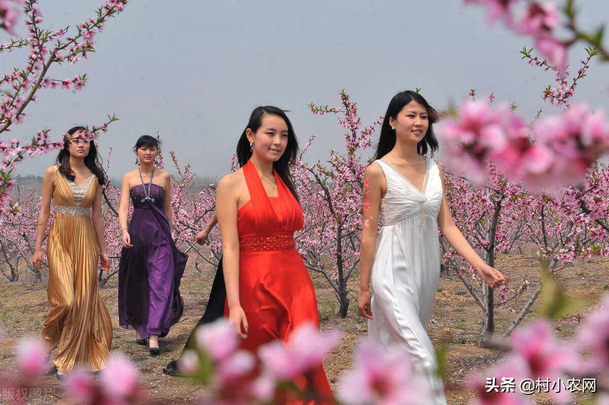 农村创业项目快速赚钱,新农村创业适合做的几个生意项目