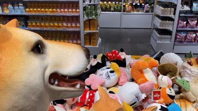 1000㎡的天堂，20000+潮流好物，沈阳这家店也太好逛了吧