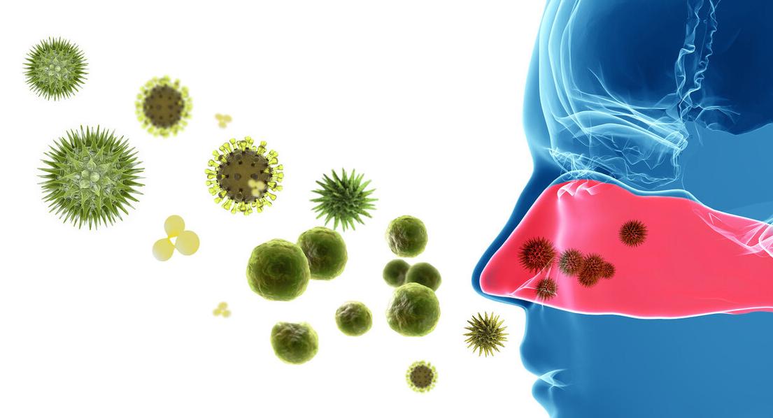 秋天来了鼻炎发作怎么办,秋天来了鼻炎又犯了罗大伦
