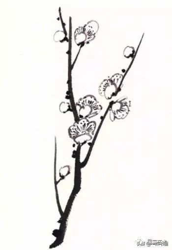图文教程一学就会画梅花,一步一步教你画梅花