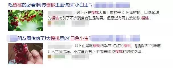 樱桃里面的虫子对身体有害吗,樱桃里面的白色虫子对人体有害吗