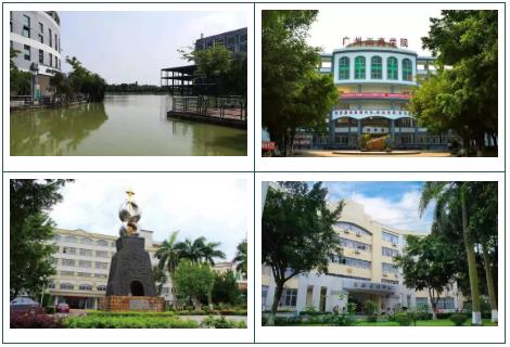 高职高考可以报广州工商学院吗,广州工商学院高职高考专业