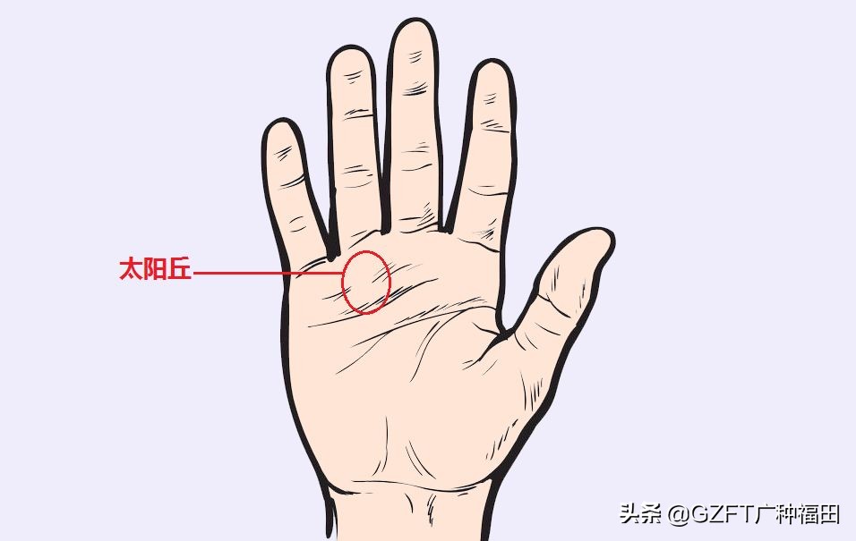 5分钟学会看手相,如何从零开始学会看手相