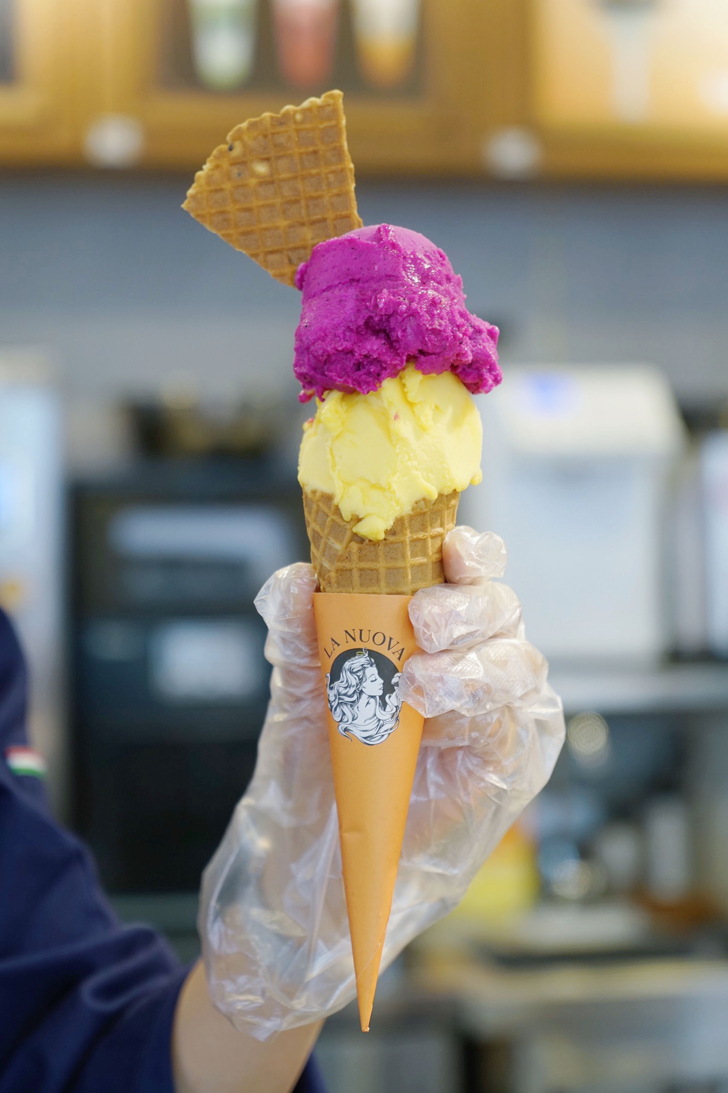 厦门鼓浪屿10天旅游攻略,厦门中山路鼓浪屿一日游