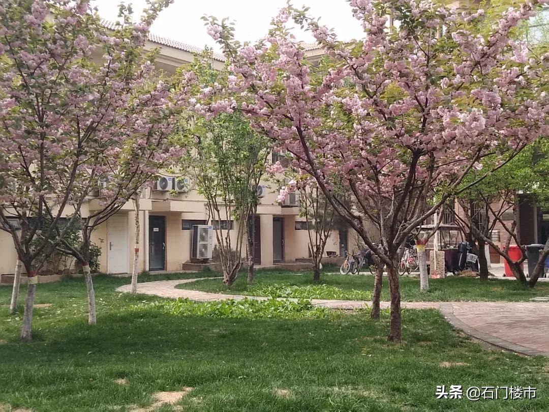 实地探访红盘交房后真实一面,解密热销红盘背后的生活理想