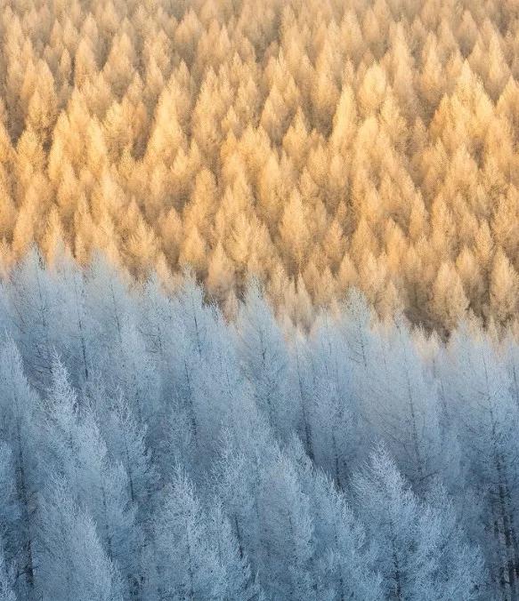 此生必去看一次雾凇太美了,此生必去看一次雾凇简直要美哭了