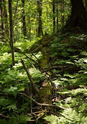 中国34个省区你了解多少,全方位了解中国