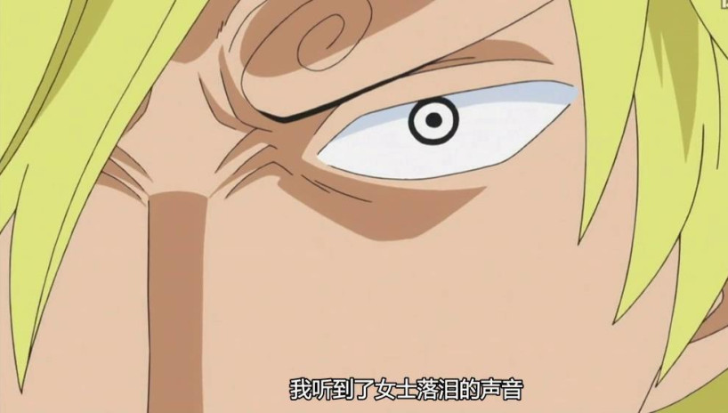 海贼王山治最全踢技,海贼王山治踢布鲁诺