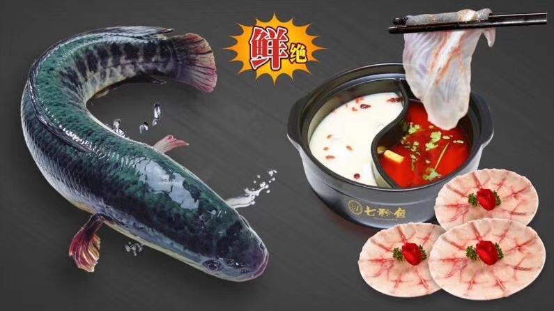 自助鱼火锅加盟排行榜,特色鱼火锅加盟前景分析