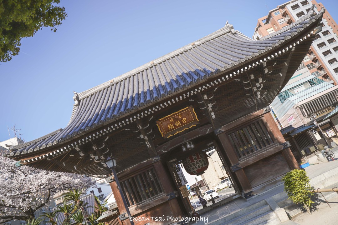 日本游轮游避坑,日本邮轮八天七夜具体行程