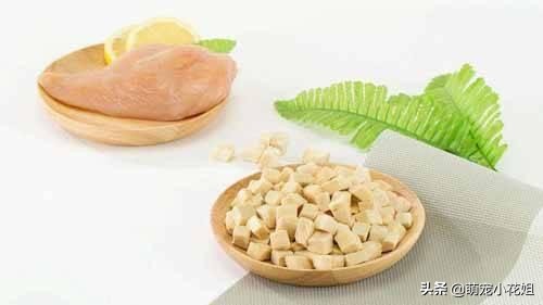 如何辨别狗粮好坏和选择的方法,狗粮泡水里怎么确认是好狗粮