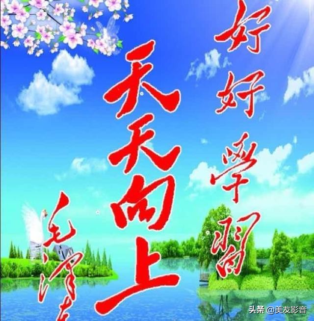 知识有哪些方面的,知识你了解了吗图片