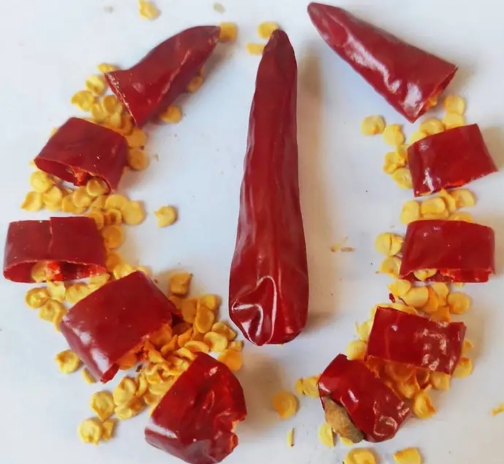 吉林洮南辣椒第一人,中国辣椒第一镇