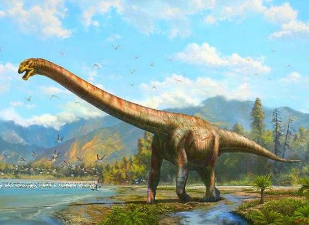 有关恐龙的绘本有哪些,有助于学习的恐龙绘本