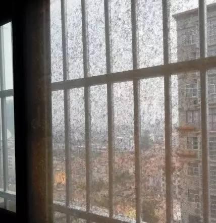 拆卸清洗纱窗小妙招,无法拆卸的纱窗如何清洗