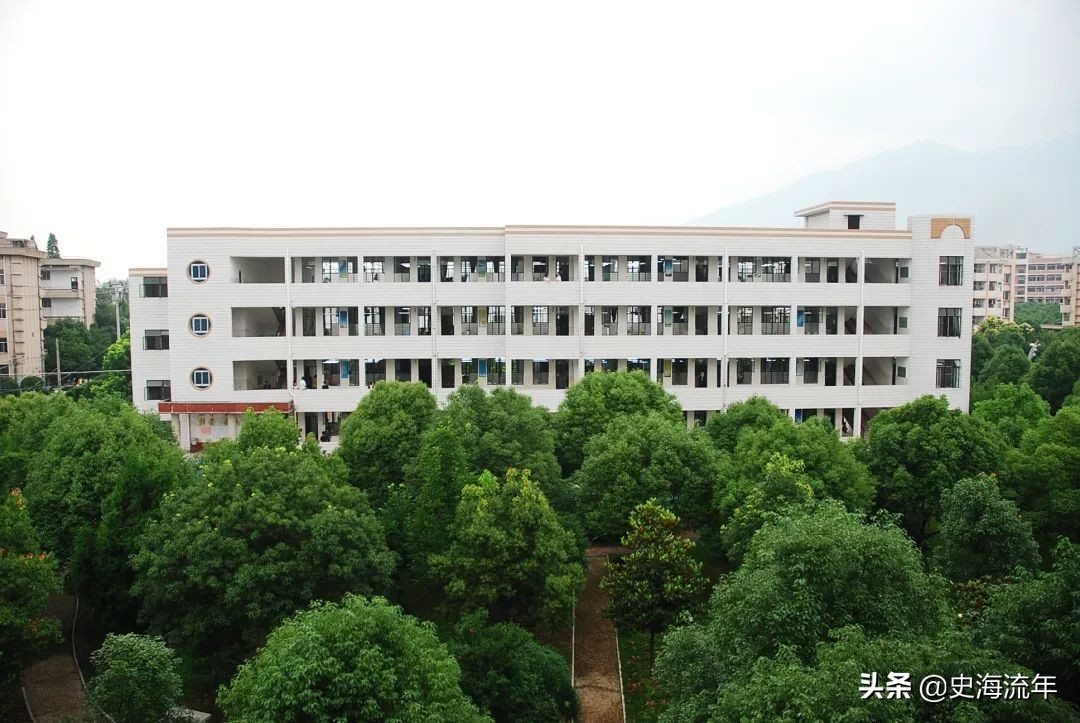 缙云中学本科率2019,丽水缙云初中排名一览表最新