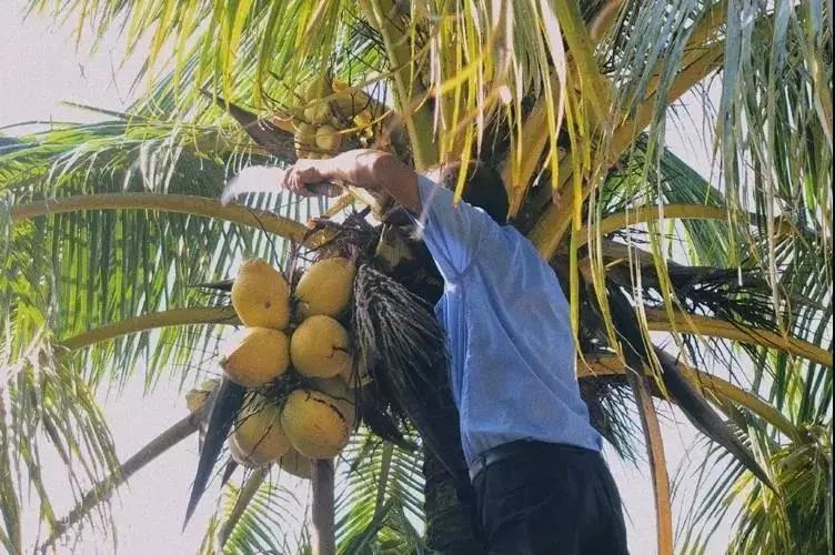 lamer面霜测评真的好用吗,lamer面霜真的好用吗