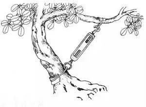 怎么看孩子左右脑发育,平衡左右脑训练