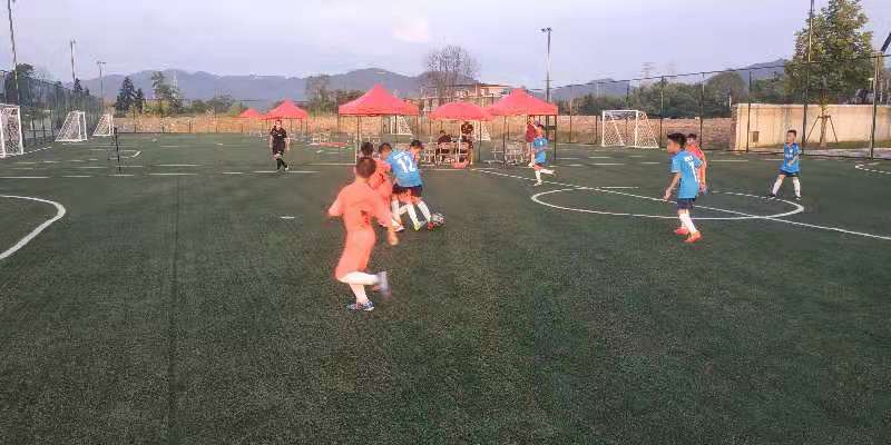 蚌埠队五连胜夺冠,蚌埠夺冠