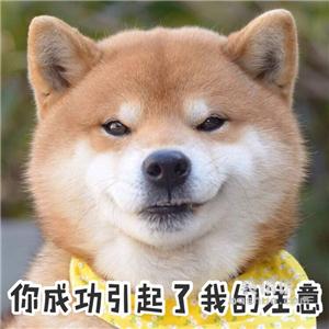 衬衣长时间未穿发黄怎么洗干净,如何将白衬衣洗干净