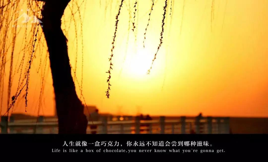 合肥春节免费景点一览表,合肥网红免费打卡景点