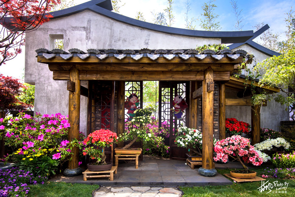 上海国际花展一览表,上海国际花展一览