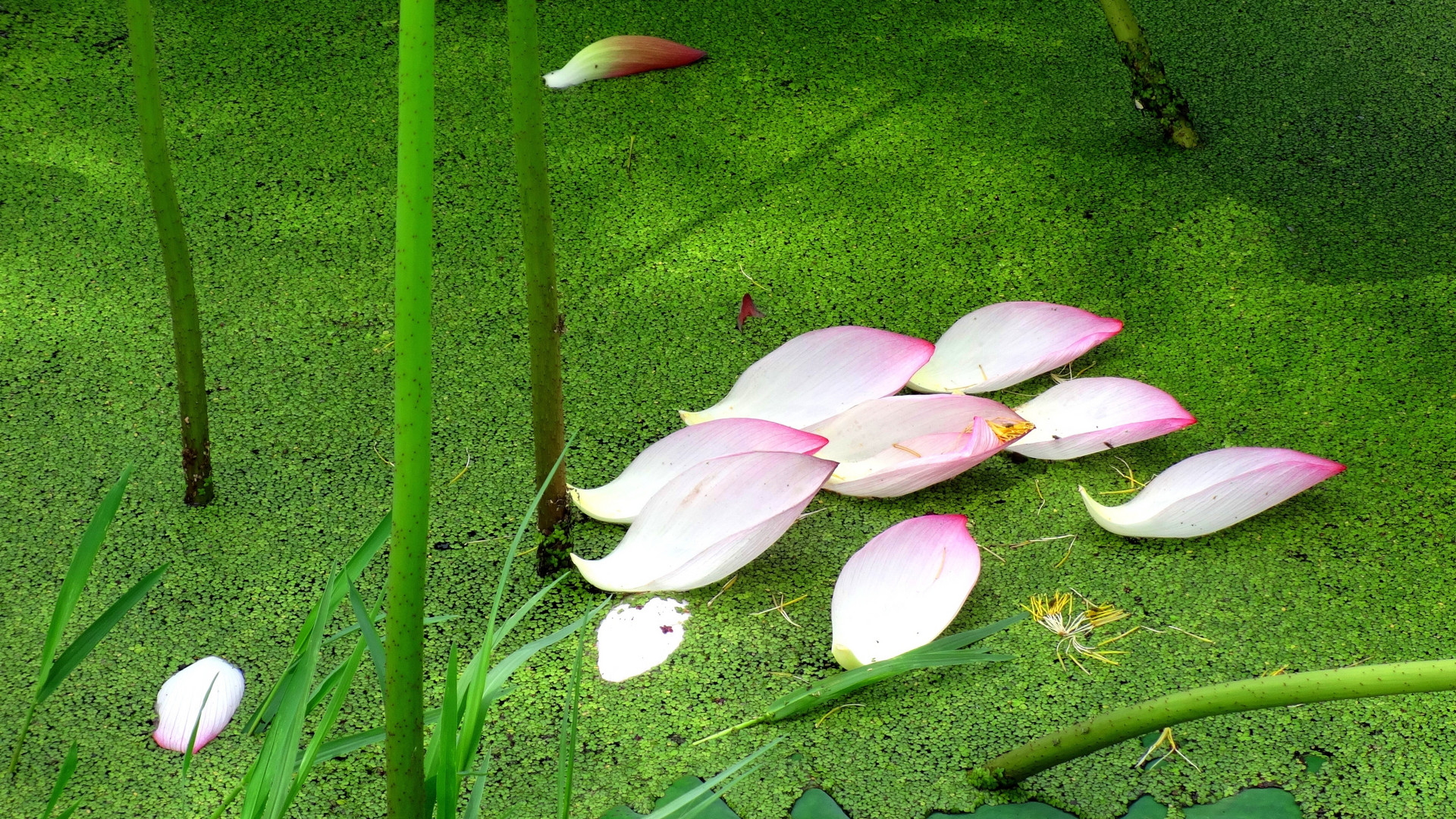 感情淡了如何升温,让对方冷静下来感情会变淡