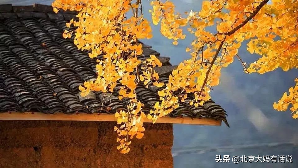 年度十佳微小说感言,十大经典微小说推荐