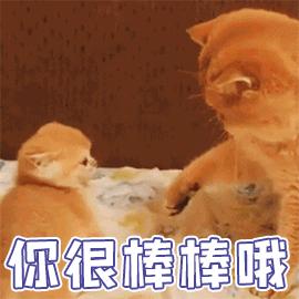 宠物吃生骨肉没有寄生虫么,宠物寄生虫对身体有害吗