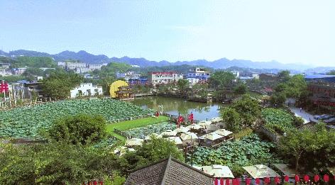 连锁餐饮经营现状,连锁餐饮店的发展趋势