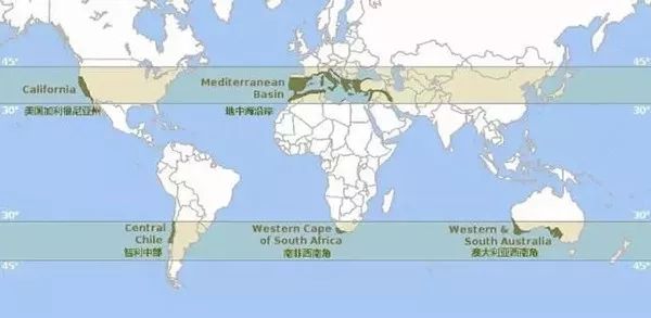 美国加州大火死了多少人,加州大火死多少人