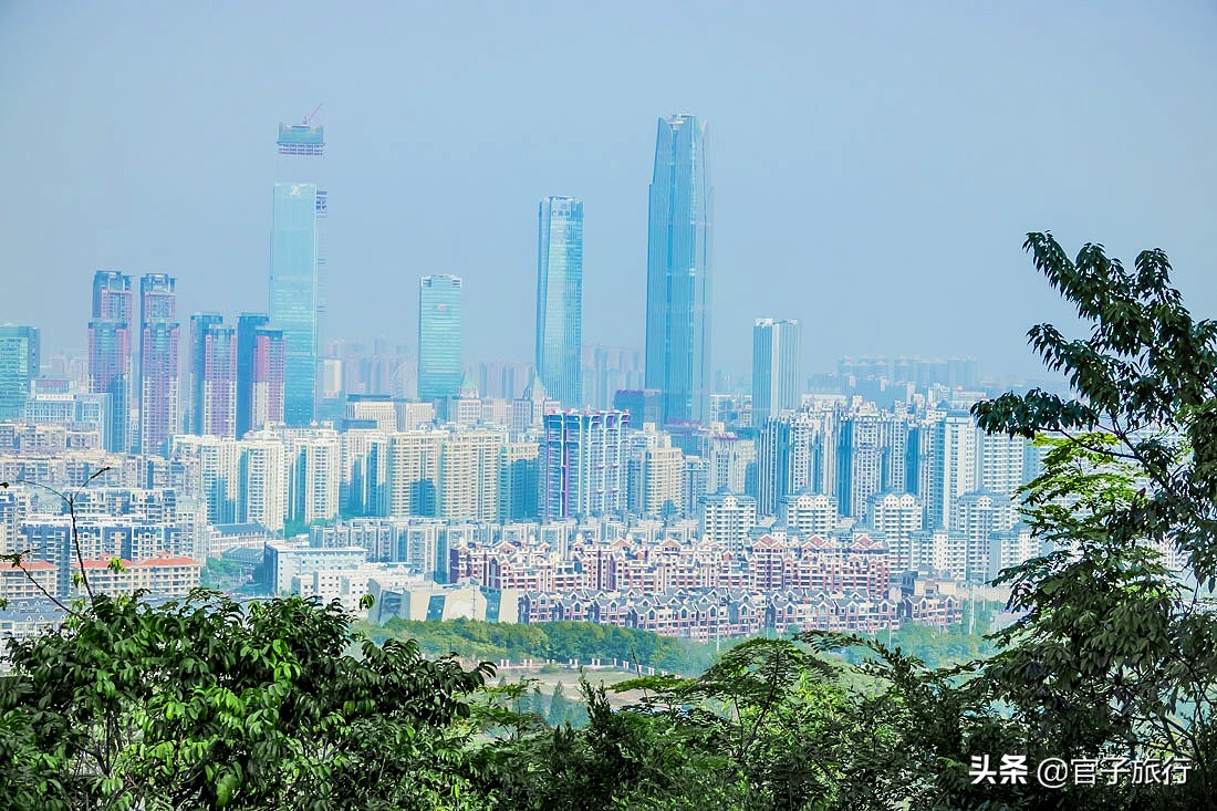 先有苏铁王后有南宁城，它是恐龙的美食植物界活化石，堪称国宝