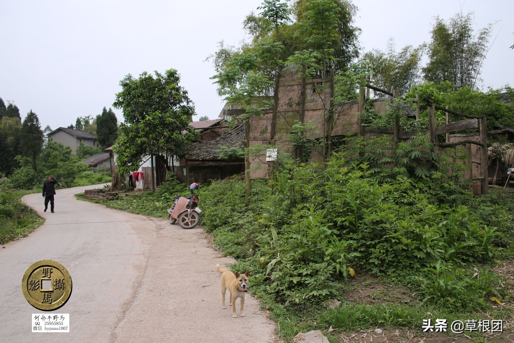 原广安县代市区有几个公社,广安消失的街道