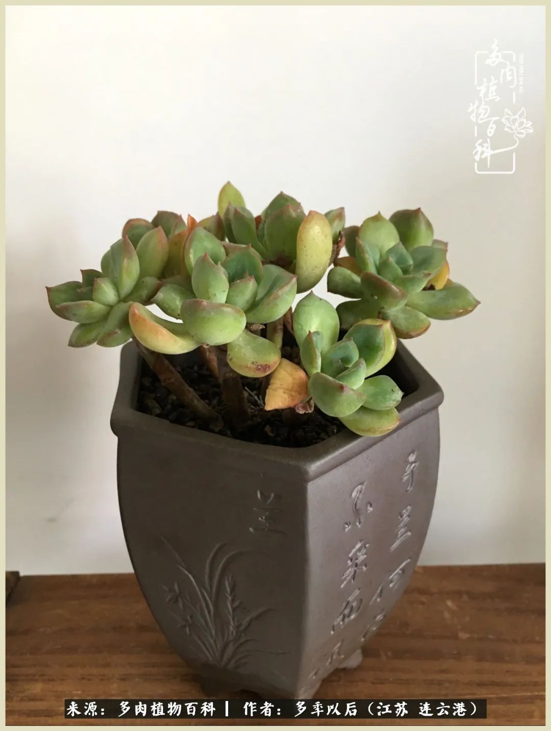 多去花前谈以后，少来月下忆当年