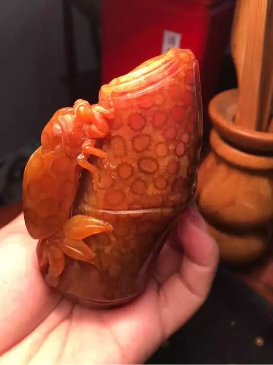 珊瑚玉和珊瑚的区别,珊瑚玉怎么辨别好坏