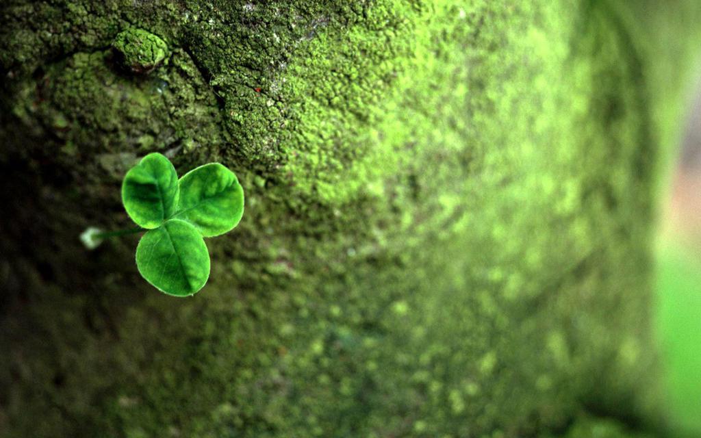 2月4日17时“立春”，俗语“立春晴，雨水匀”，今年收成如何？