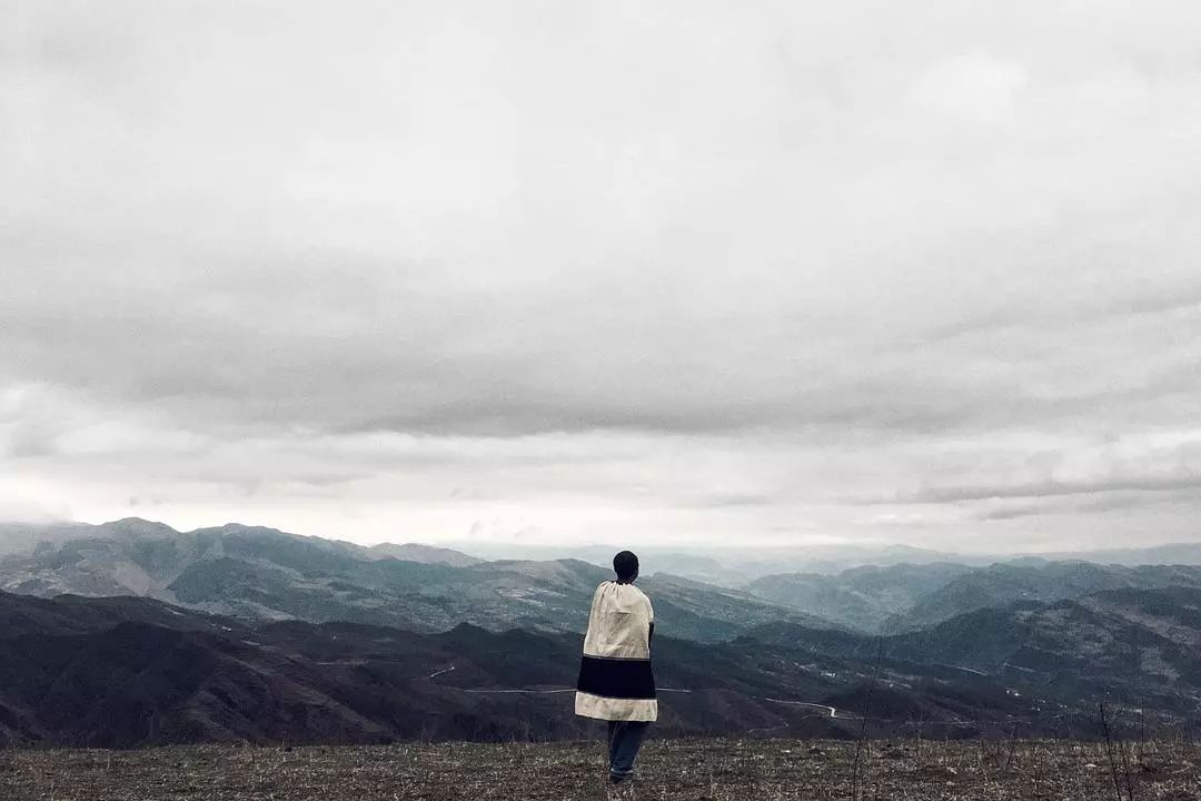 大凉山特产苦荞香茶,大凉山高山黑苦荞茶