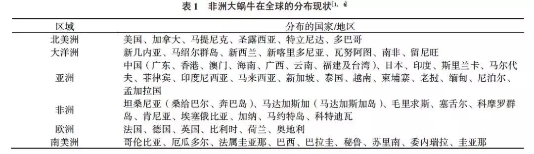 不能碰不能养不能吃的蜗牛,大蜗牛有毒千万不要碰