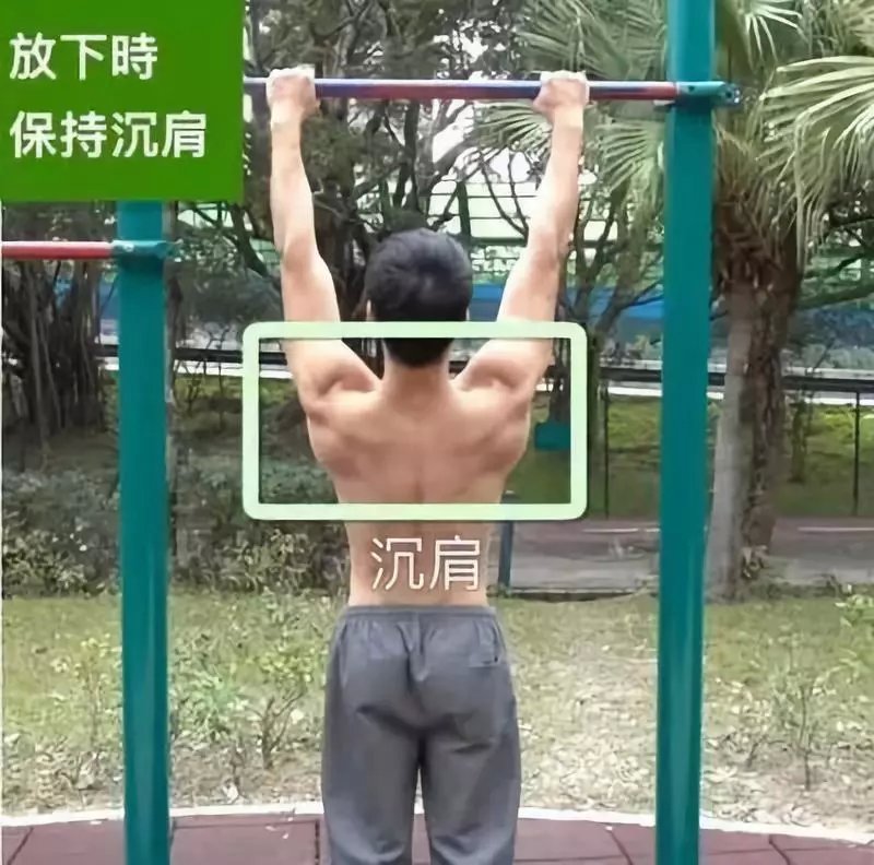 撸铁教程初级练胸,纯新手小白如何练胸