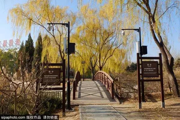 北京古塔公园推荐,北京最良心的古寺免费景点