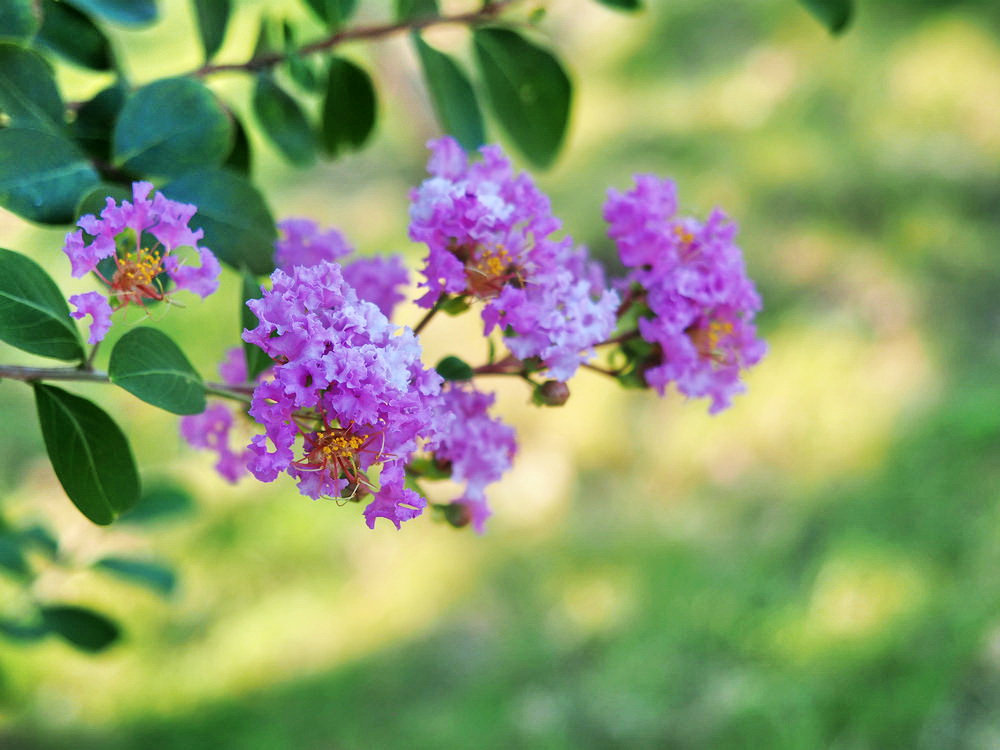 史上最牛的圣人,史上最牛的三个人