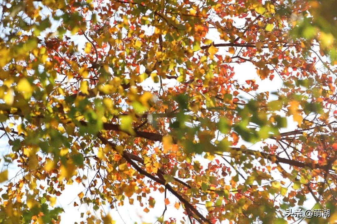 10年红专厂│广州文艺青年的圣地，在一步步远去