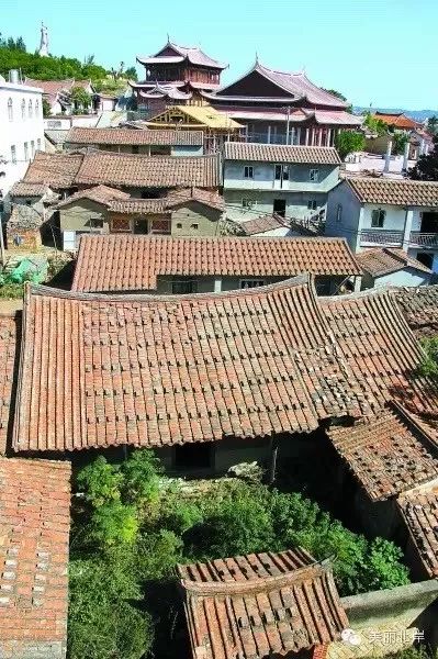 爱你没商量直播吗,爱你没商量海南